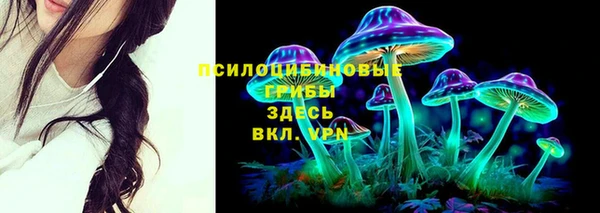 гидропоника Алексеевка