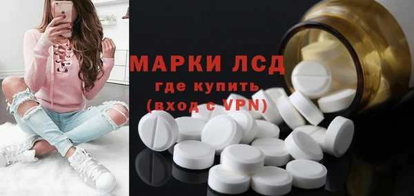 стафф Алзамай