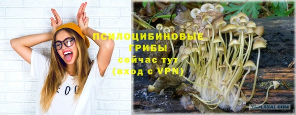 эйфоретик Алексин