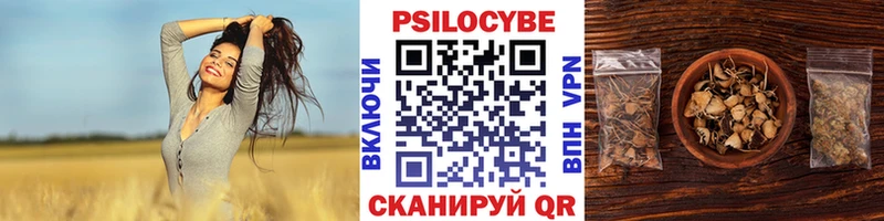 Псилоцибиновые грибы Cubensis  Нарьян-Мар 